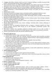 Galinės smegenys 4 puslapis