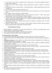 Galinės smegenys 5 puslapis