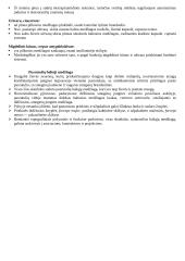 Galinės smegenys 6 puslapis