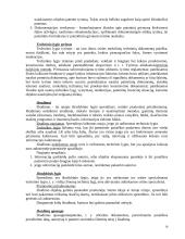 Informacijos paieška ir patentotyra 11 puslapis