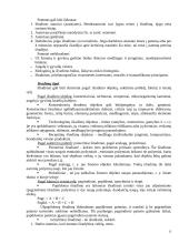 Informacijos paieška ir patentotyra 12 puslapis