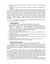 Informacijos paieška ir patentotyra 13 puslapis