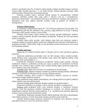 Informacijos paieška ir patentotyra 14 puslapis