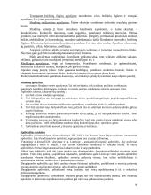 Informacijos paieška ir patentotyra 15 puslapis