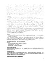 Informacijos paieška ir patentotyra 16 puslapis