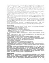 Informacijos paieška ir patentotyra 17 puslapis