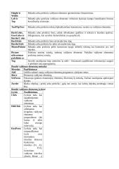 Algoritmai bei objektinis programavimas 19 puslapis