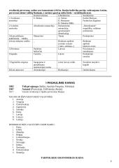 Pasiruošimas istorijos egzaminui 6 puslapis