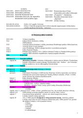 Pasiruošimas istorijos egzaminui 7 puslapis