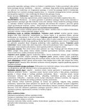 Kaimo turizmo vadyba 2 puslapis