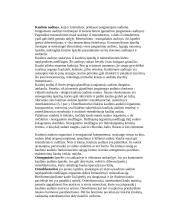 Kaulinis audinys 2 puslapis