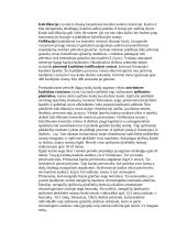 Kaulinis audinys 4 puslapis