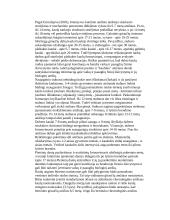 Kaulinis audinys 5 puslapis