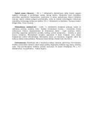 Klasikinio modernizmo kryptys 6 puslapis