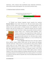 Kompiuterio atsiradimas. Nuo abako iki asmeninio kompiuterio 8 puslapis