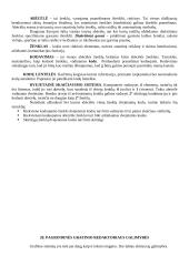 Techninė kompiuterio įranga bei apsauga nuo virusų 18 puslapis