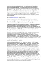 Viskas, ką reikia žinoti apie kompiuterių tinklus 7 puslapis