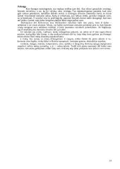 Laimė ir kaltė 13 puslapis