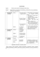 Lietuvių literatūros raida 2 puslapis