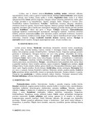 Lietuvių literatūros raida 7 puslapis