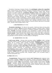 Lietuvių literatūros raida 9 puslapis