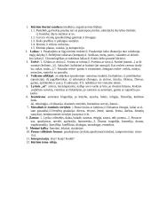 Lietuvių literatūros raida 10 puslapis