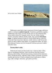 Lietuvos geologija 11 puslapis