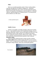 Lietuvos geologija 14 puslapis