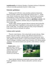 Lietuvos geologija 5 puslapis