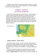 Lietuvos geologija 6 puslapis