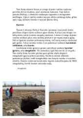 Lietuvos geologija 9 puslapis