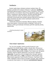 Lietuvos geologija 10 puslapis