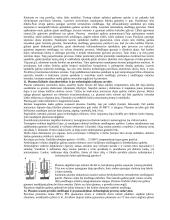 Medžiagų apdorojimo technologijos 6 puslapis