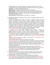 Medžiagų mokslo temos egzaminui 13 puslapis