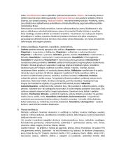 Medžiagų mokslo temos egzaminui 4 puslapis