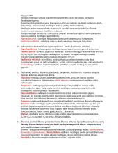 Medžiagų mokslo temos egzaminui 6 puslapis