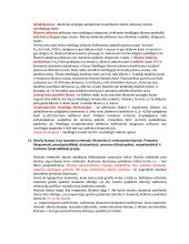 Medžiagų mokslo temos egzaminui 7 puslapis