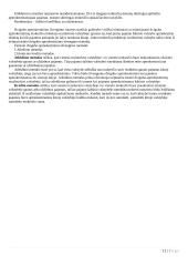 Mokesčių esmė ir reikalingumas 12 puslapis