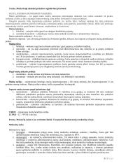 Mokesčių esmė ir reikalingumas 6 puslapis