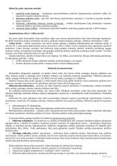 Mokesčių esmė ir reikalingumas 7 puslapis