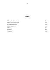 Monopolinės konkurencijos rinka ir jos ekonominis efektyvumas 2 puslapis