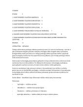 Elektroninė valdžia mūsų visuomenėje