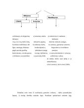 Nedarbo teorija atsiskaitymui 2 puslapis