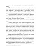 Nedarbo teorija atsiskaitymui 5 puslapis