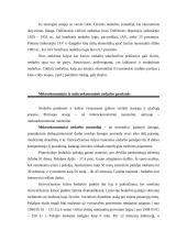 Nedarbo teorija atsiskaitymui 6 puslapis