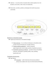 Organizacijų ryšiai su žiniasklaida: komunikacijos principai ir būdai 5 puslapis
