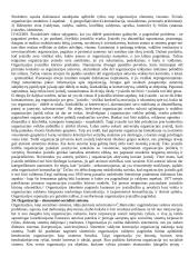 Organizacijų teorija 11 puslapis