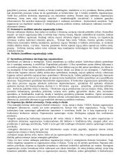 Organizacijų teorija 12 puslapis