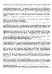 Organizacijų teorija 13 puslapis