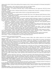 Organizacijų teorija 3 puslapis